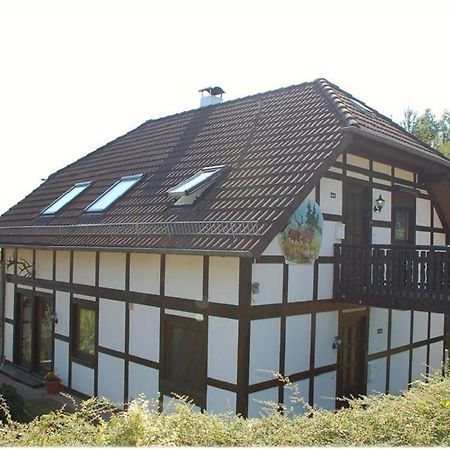 Apartment Edersee Fuer 4 Personen Frankenau Экстерьер фото